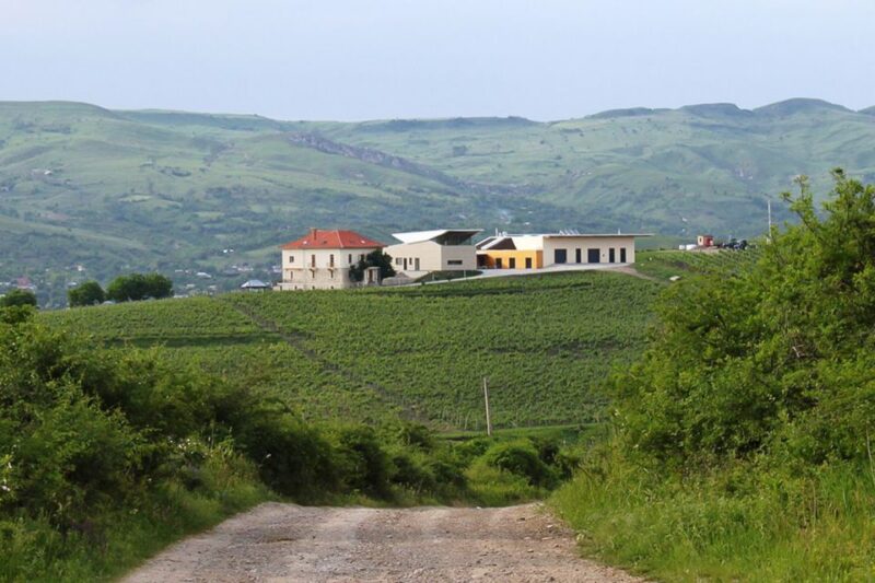 Dealu Mare Wineries: Wine Tasting Tour on the Old Wine Road - Winery Visits