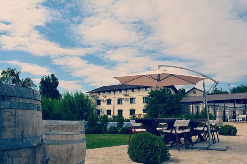 Dealu Mare Wineries: Wine Tasting Tour on the Old Wine Road - Wine Tasting Experiences