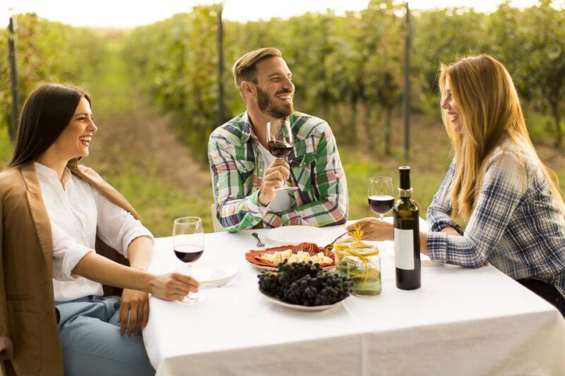 Dealu Mare Wineries: Wine Tasting Tour on the Old Wine Road - Food Pairing and Cuisine