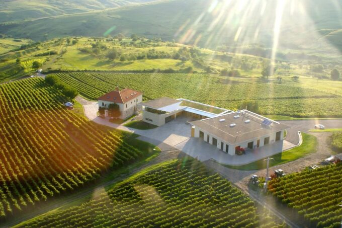 Dealu Mare Wineries: Wine Tasting Tour on the Old Wine Road - Booking and Information