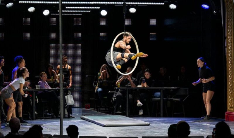 Dear San Francisco Aerial Extravaganza Circus Show - Family-Friendly Experience