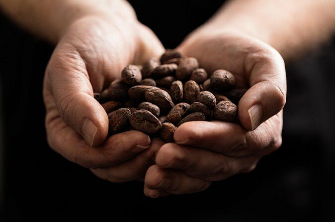 Death By Chocolate Experience in Richmond, Tasmania - Value and Practical Considerations