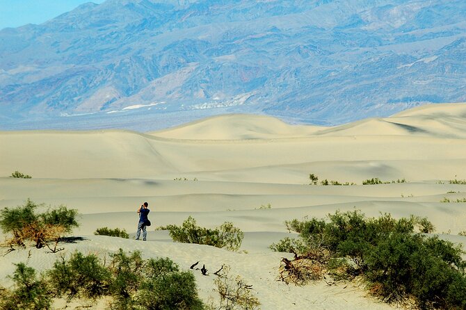 Death Valley Day Trip From Las Vegas - Discover Devils Golf Course