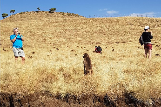 Debre Libanos Monastery and Jemma River Gorge - Day Tour From Addis Ababa - Monastery and Monastery Attire