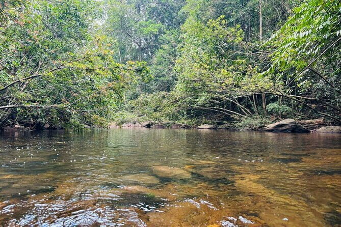 Dediyagala Village Tour(from Galle, Mirissa, Ahangama, Matara) - The Itinerary: A Day in Dediyagala