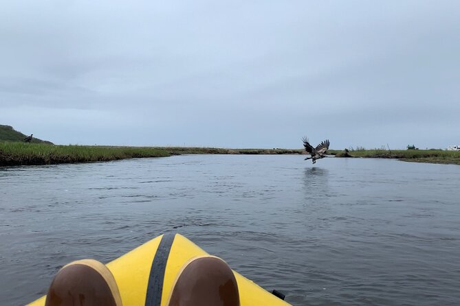 Deep Creek 1/2 Day Packraft Tour - Meeting and End Points