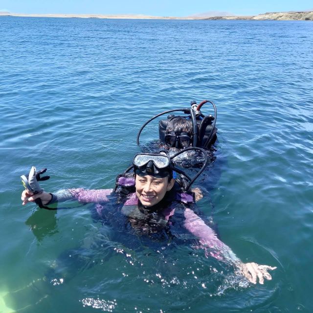 Deep Dive Discovery - Scuba Diving in Paracas - Diving Equipment and Guides