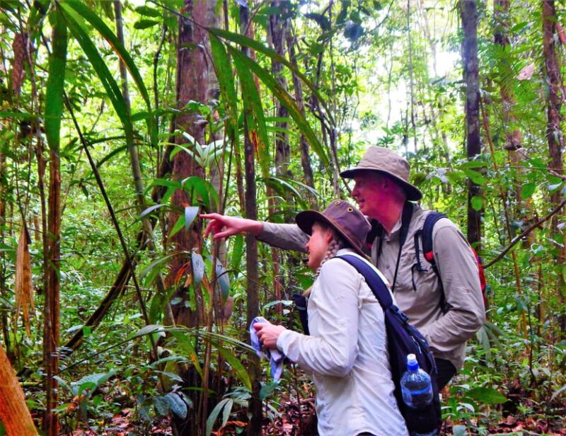 Deep Jungle Experience Plan 4 Days - Inclusions and Exclusions