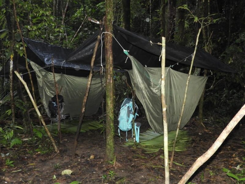 Deep Jungle Experience Plan 4 Days - Participant Requirements