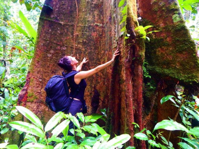 Deep Jungle Experience Plan 4 Days - Recap