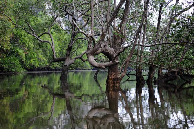 Deep Mangrove and Canyon Kayak Tour in Krabi - Tour Inclusions