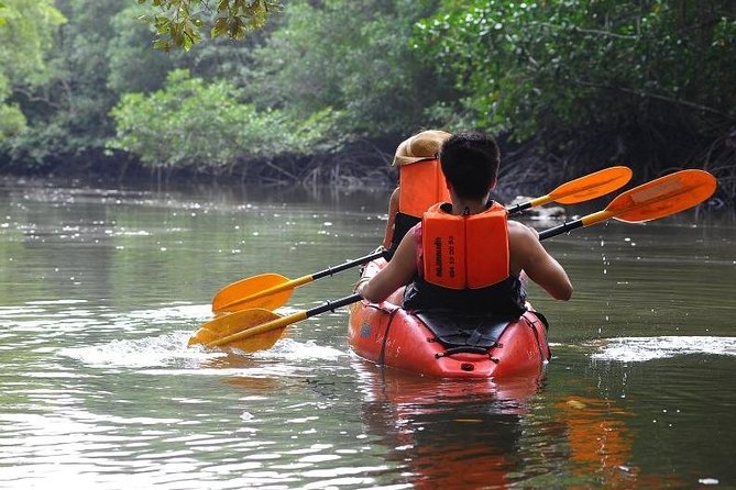 Deep Mangrove and Canyon Kayak Tour in Krabi - Tour Operator Information