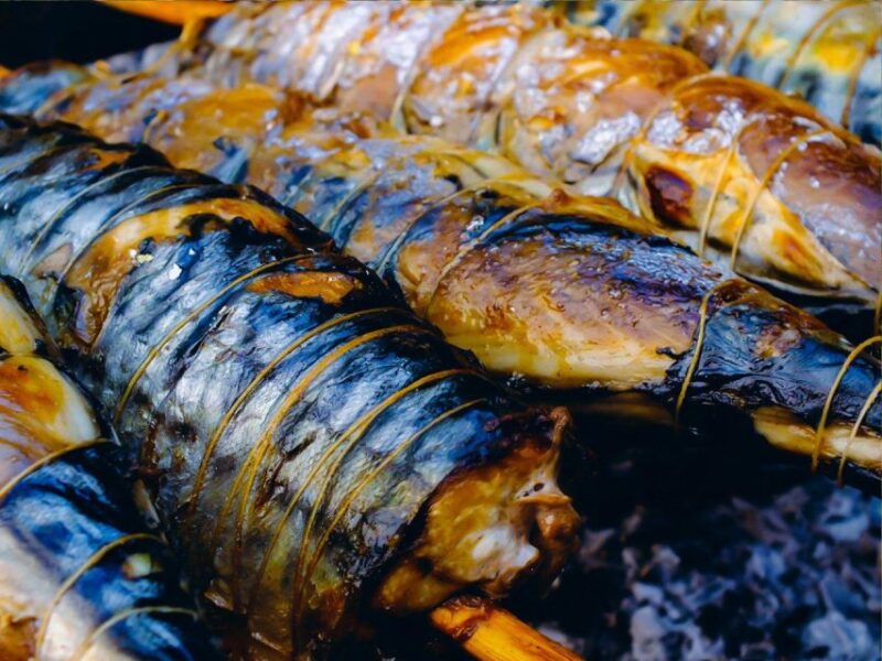 Deep Sea Fishing Adventure With a Seafood Extravaganza Lunch - Fishing Experience and Target Catches