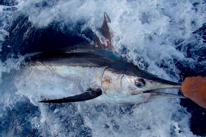 Deep Sea Fishing- Canadian Owned, Operated - Overview of the Tour