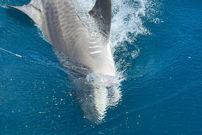 Deep Sea Fishing Charters in Fort Lauderdale Aboard 52 Hatteras - Sportfishing Activities and Techniques