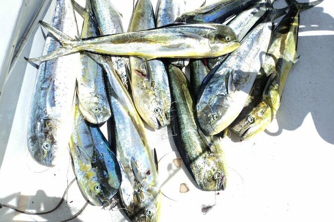 Deep Sea Fishing - Challenges and Considerations