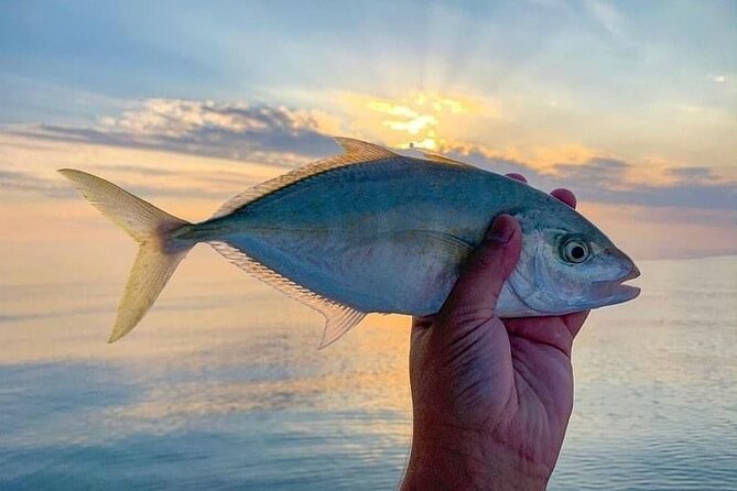 Deep Sea Fishing Dubai - 4 Hours Fishing Trip on Boat - Fishing Season and Best Times