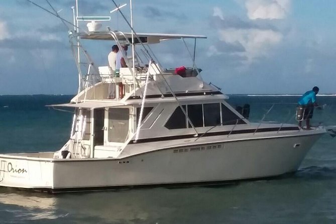 Deep Sea Fishing Half Day - Traveler Feedback