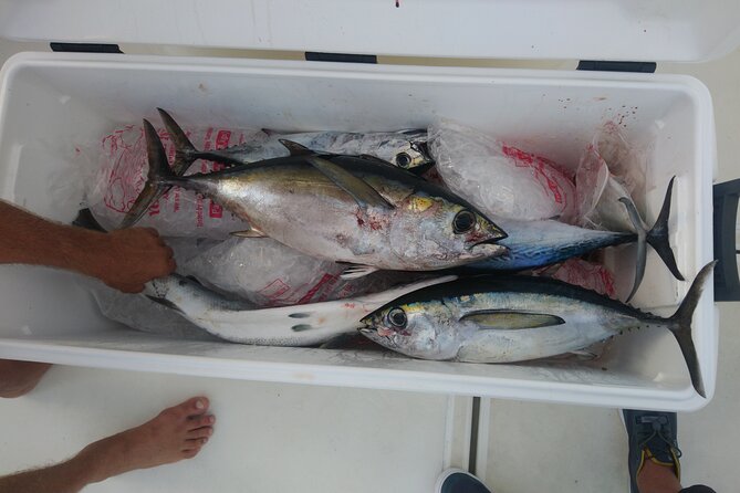 Deep Sea Fishing Half-Day - Optional Dining Arrangements
