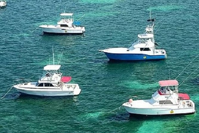 Deep Sea Fishing in Punta Cana (Half Day) - Suitability and Physical Requirements