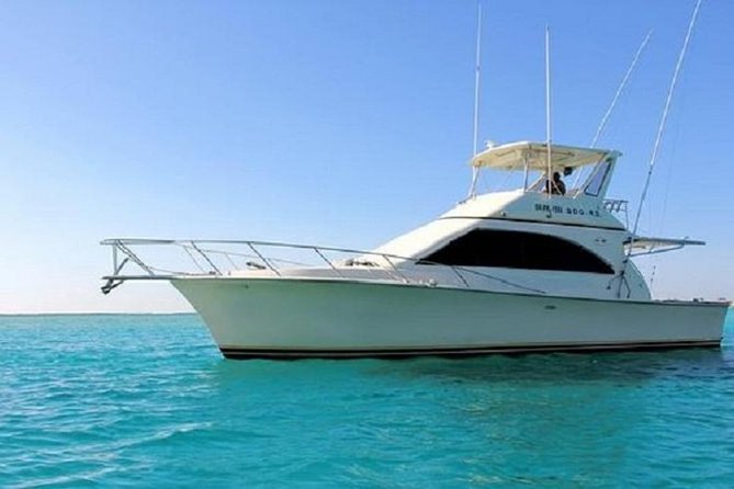 Deep Sea Fishing in Punta Cana (Half Day) - Pricing and Bookings