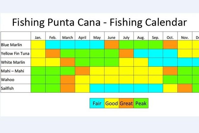 Deep Sea Fishing in Punta Cana (Half Day) - Booking Your Stay