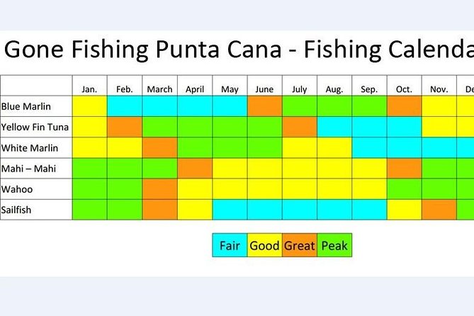 Deep Sea Fishing in Punta Cana (Half Day) - Traveler Feedback and Concerns