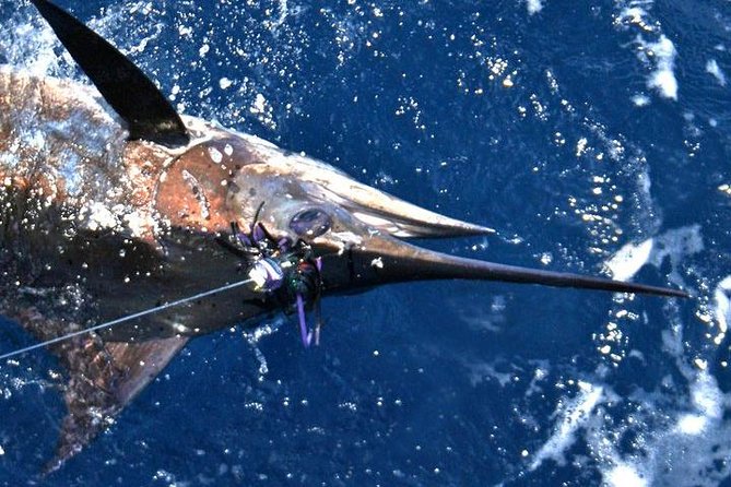 Deep Sea Fishing Private Boat Charter in San Juan - Trip Details and Inclusions