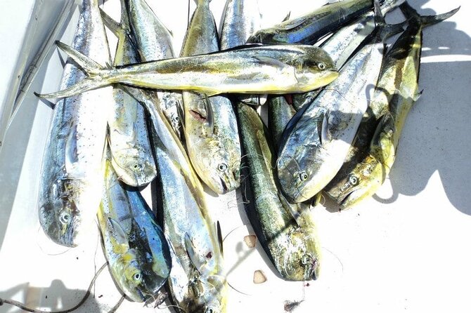 Deep Sea Fishing Private - Inclusions and Exclusions