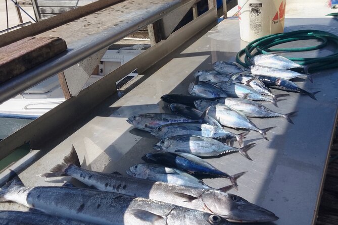 Deep-Sea Private Fishing - Pickup Information