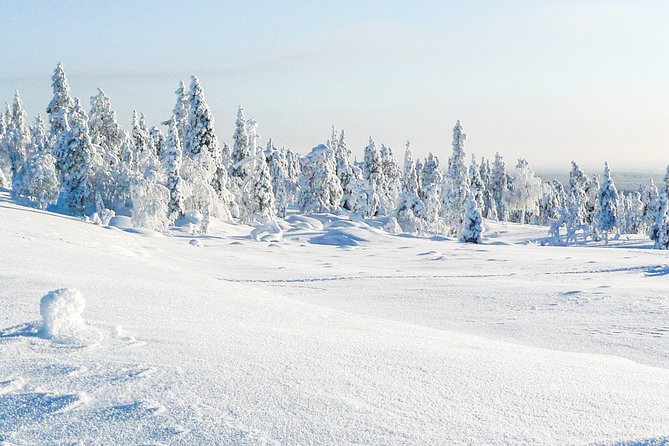 Deep Snow Powder Driving - Key Points