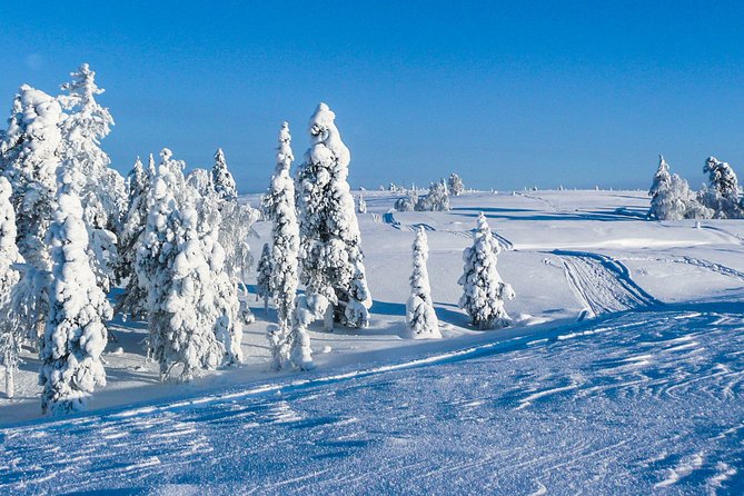 Deep Snow Powder Driving - Meeting Point and Pickup Information