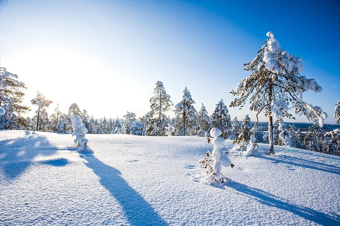 Deep Snow Powder Driving - Accessibility and Requirements
