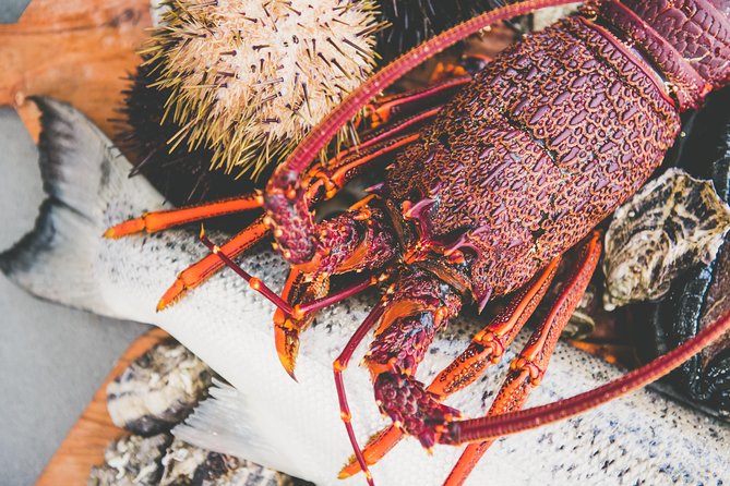 Deep-to-Dish: Tasmanian Seafood Experience - Seafood Harvesting