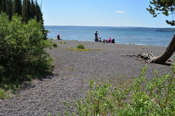 DeLacy Creek Trail Hike to Shoshone Lake with Lunch - Discover Yellowstone’s Hidden Wilderness: The DeLacy Creek Trail Hike to Shoshone Lake with Lunch
