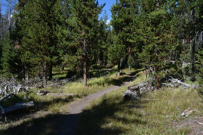 DeLacy Creek Trail Hike to Shoshone Lake with Lunch - Key Points