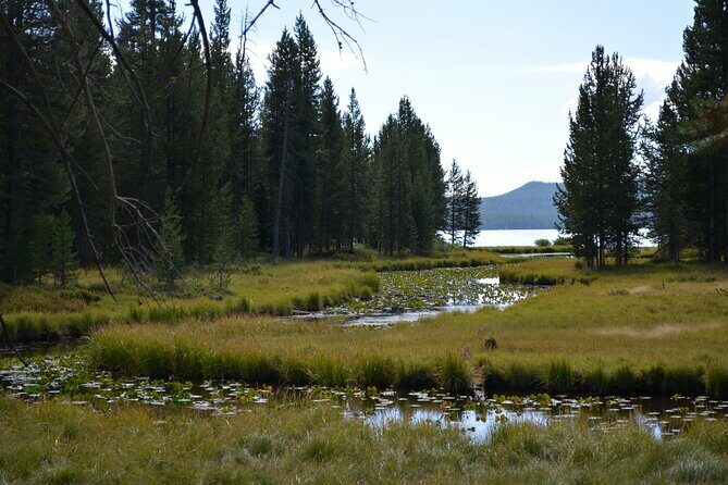 DeLacy Creek Trail Hike to Shoshone Lake with Lunch - FAQ