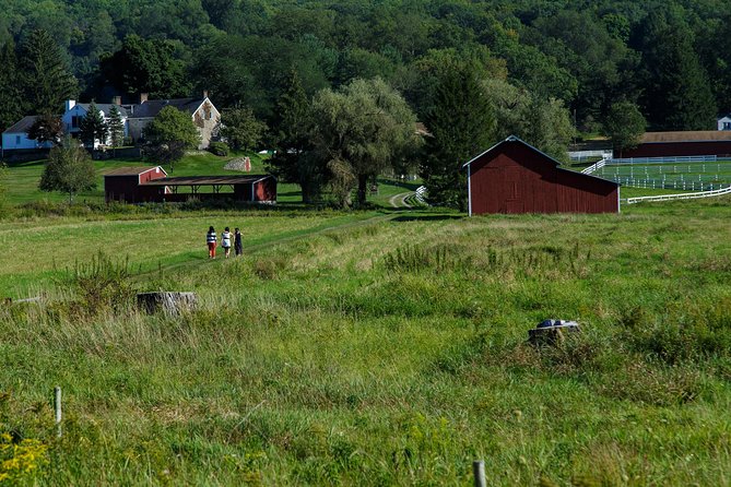 Delaware River Kayak and Wine Day Trip From Manhattan - Enjoying a Delectable Picnic Lunch