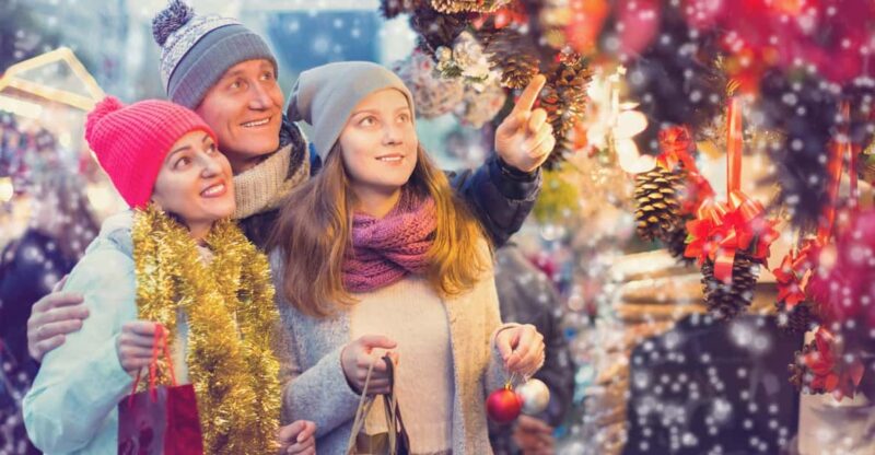 Delft: 2-Hour Christmas Walking Tour - Cultural Experience