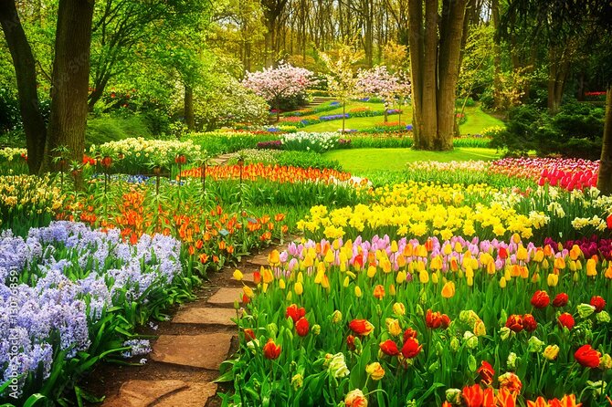 Delft and Keukenhof Gardens Tour From Brussels - Cancellation Policy