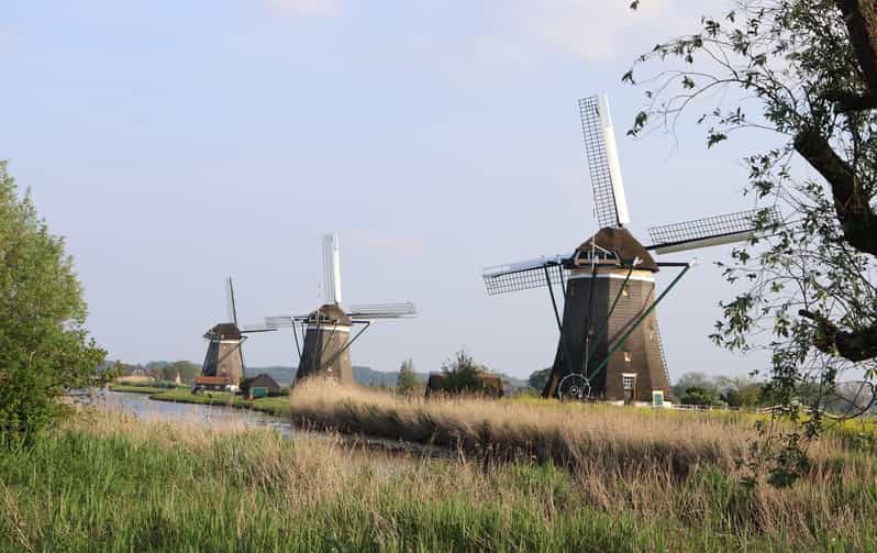 Delft and Volendam: Cheese, Clogs & Windmills (Small Group) - Cheese Farm Visit