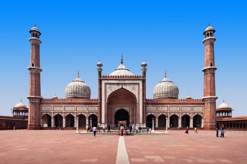 Delhi: 6-Day Guided Trip of Delhi, Agra, Jaipur and Udaipur - Accessibility and Languages