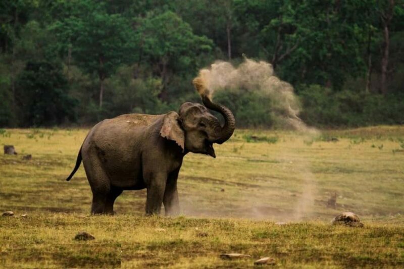 Delhi-Agra-Jaipur Golden Triangle Multiday trip with Safari - Starting in Delhi: The Heart of India’s Capital