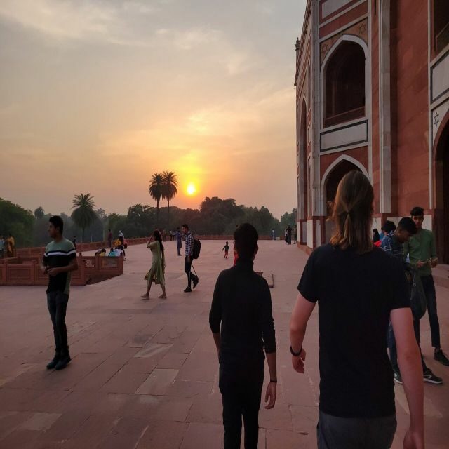 Delhi-Agra-Jaipur Golden Triangle Multiday trip with Safari - The Safari: A Wild Card