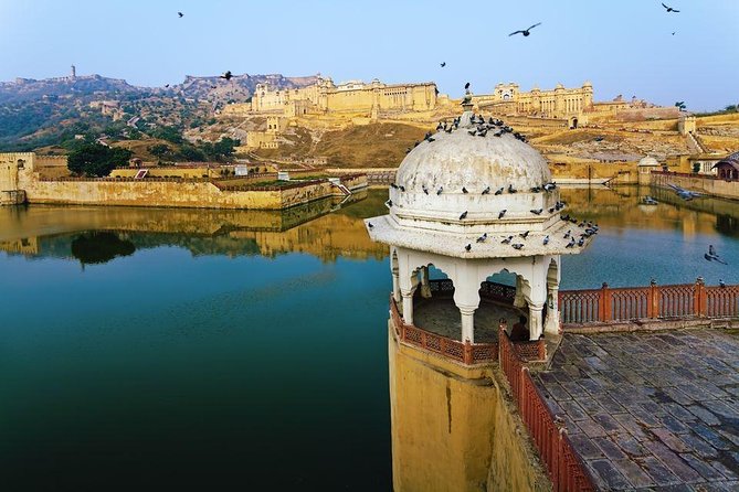 Delhi Agra Jaipur Ranthambore Tigers 6 Days Tour From Delhi - Accommodation and Meals
