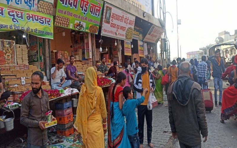 Delhi: Agra Mathura Vrindavan Sightseeing Tour With Lunch - Transportation and Accessibility