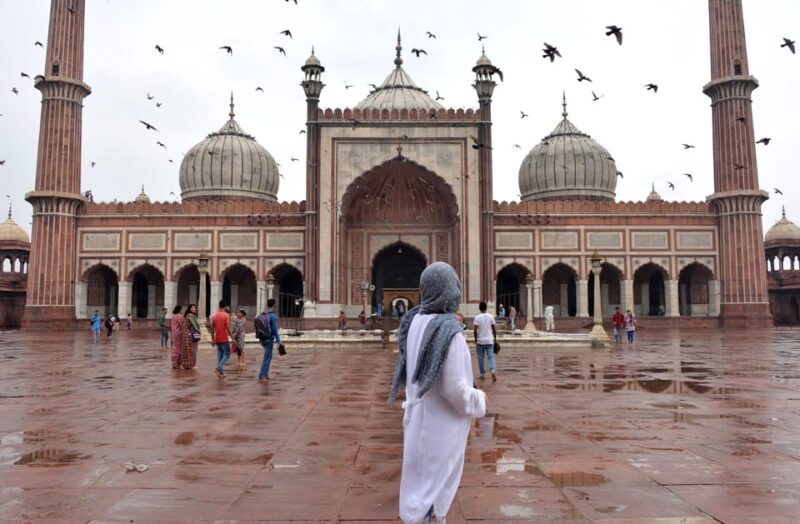 Delhi Airport to Airport: Guided Layover Delhi City Tour - Pickup and Drop-off Details
