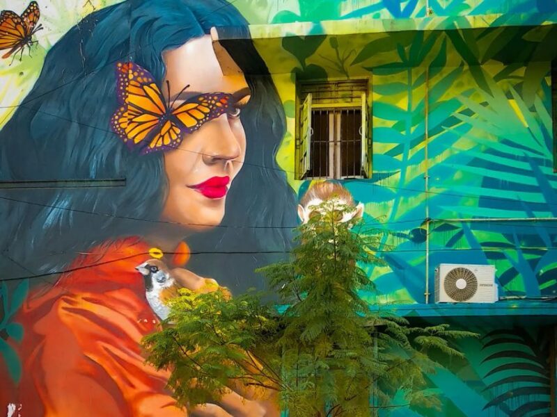 Delhi: Explore Delhis Street Art & Visit to an Art Centre - Key Points
