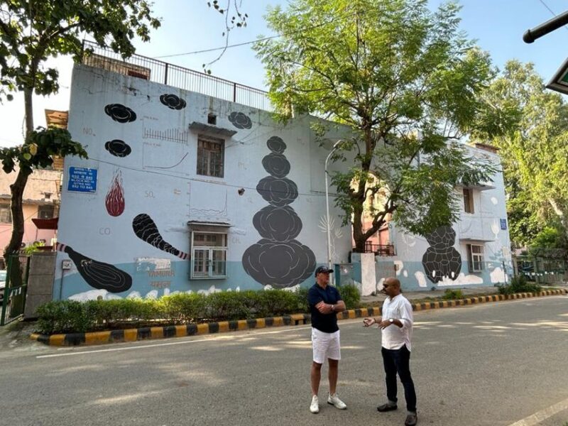 Delhi: Explore Delhis Street Art & Visit to an Art Centre - Inclusions