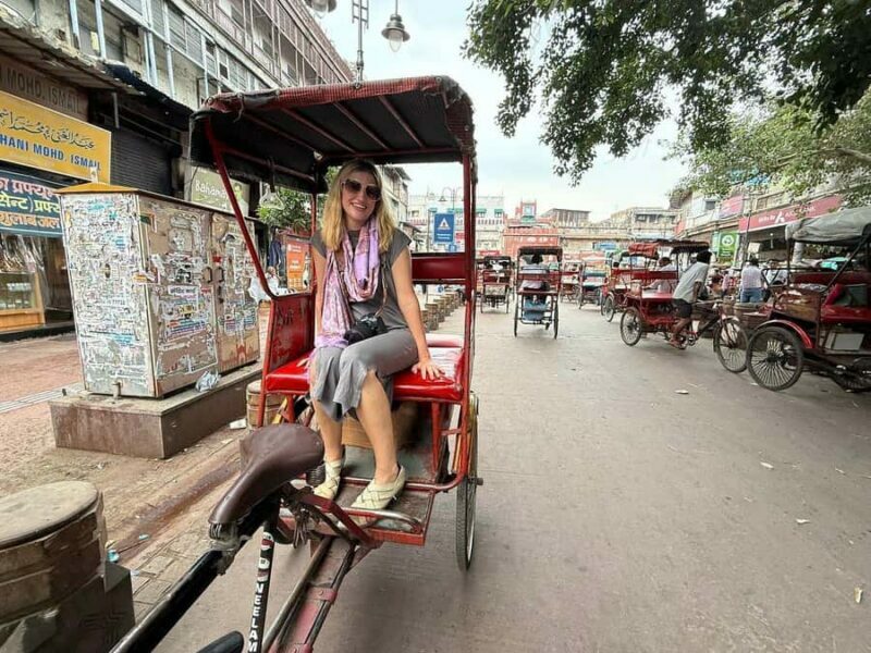 Delhi: Full Day Old and New Delhi Private Luxury Guided Tour - Who Should Consider This Tour?